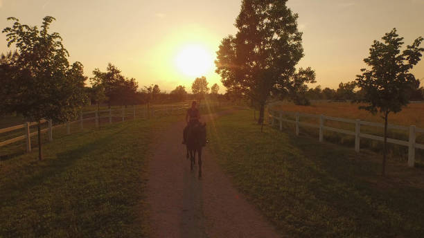 DRONE, LENS FLARE, SILHOUETTE: Active young woman riding her beautiful mare down an empty gravel track leading past the scenic ranch on a idyllic summer evening. Girl horseback riding at sunset.