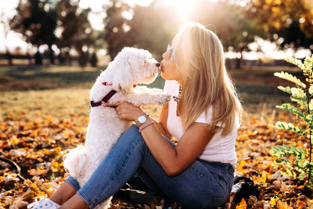 istock Women with her dog Maltese 1182984104