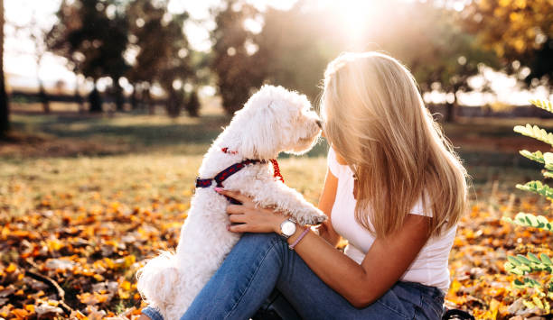 istock Women with her dog Maltese 1182984202