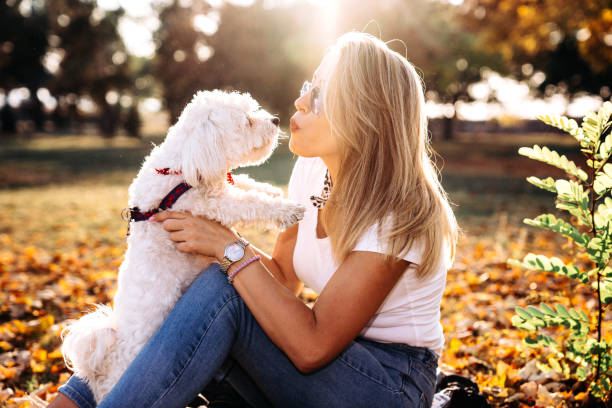 istock Women with her dog Maltese 1182984305