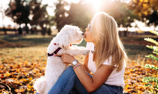 istock Women with her dog Maltese 1182984338
