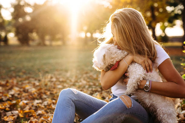 istock Women with her dog Maltese 1182984351
