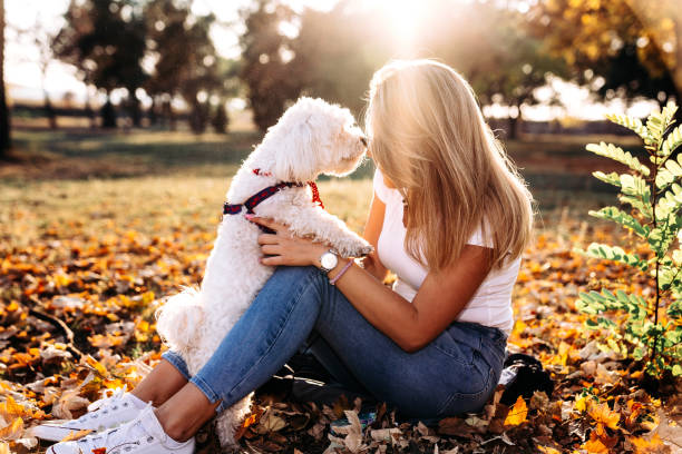 istock Women with her dog Maltese 1182984380