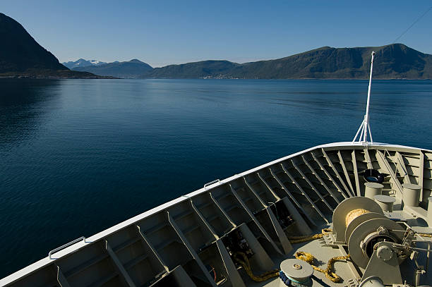 istock Cruise in a Fjord 118298440