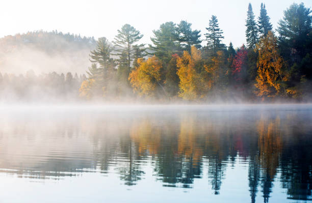 istock laurentian autumn 1182986820