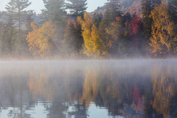istock laurentian autumn 1182986850