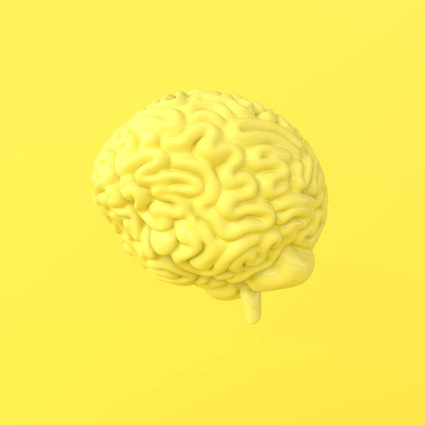 istock 3d brain rendering illustration template background. The concept of intelligence, brainstorm, creative idea, human mind, artificial intelligence. 1182987633