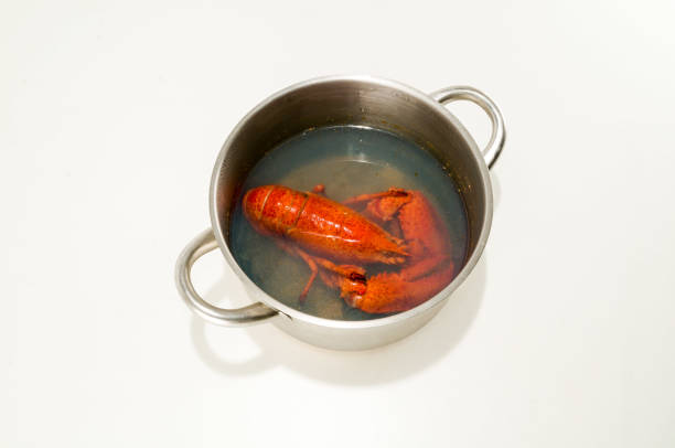 istock Delicious freshly steamed lobster 1182989648