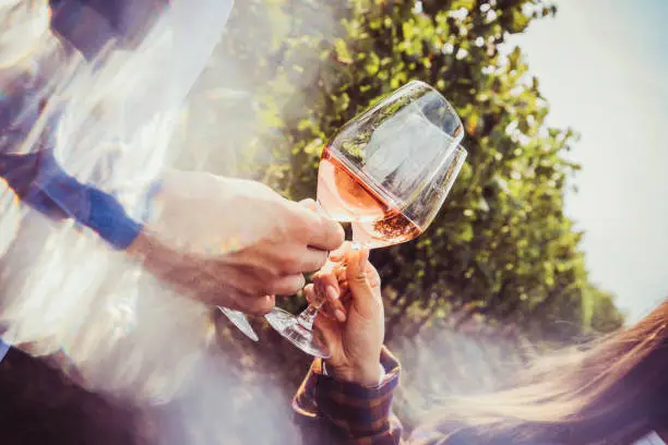 Wine tasting in the countryside. A closeup of a man's and a woman's hand raising a glass of wine, proposing a toast in a vineyard on a sunny day. The sun is shining into the lens and creating a beautiful flare.