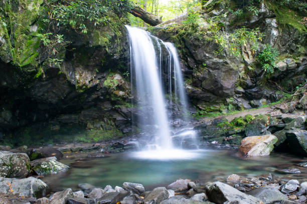 cachoeira bonita na região selvagem florestada do grande parque nacional das montanhas fumarentos - tennessee, eua - gatlinburg great smoky mountains national park nature water - fotografias e filmes do acervo