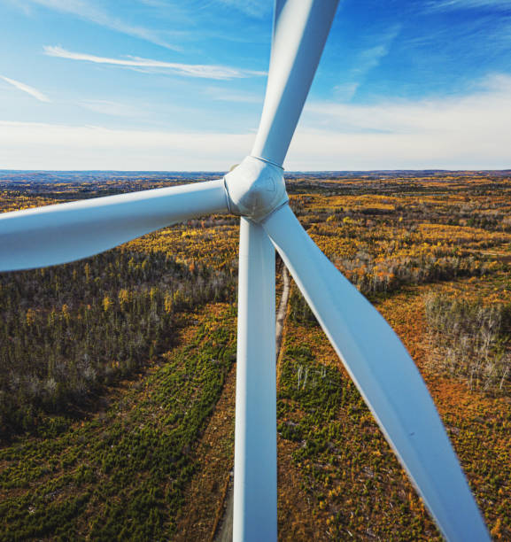 Low angle view of wind turbine turning in tree area framing, brightly sunlit. Eco energy concept. copy space