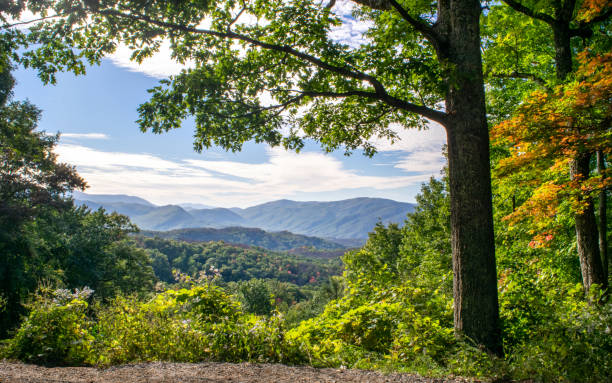 vista pittoresca del parco nazionale delle grandi montagne fumose - great smoky mountains gatlinburg great smoky mountains national park appalachian mountains foto e immagini stock