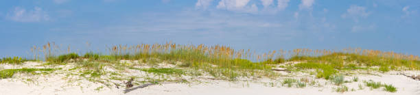 istock Beach Panorama - Sea Oats 1182998554