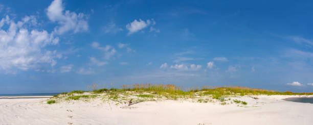 istock Beach Panorama - Sand and Sea Oats on Peninsula 1183000702