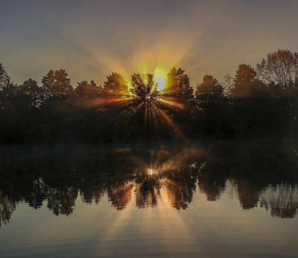 istock Spectacular sunrise over a country pond 1183001858