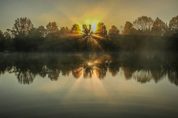 istock Spectacular sunrise over a country pond 1183001933