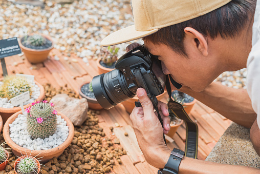 A young man takes a macro photo with a DSLR camera. Asian photographer shoots a blooming cactus from a short distance.
