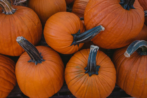 istock Pumpkin stand on a market 1183008907