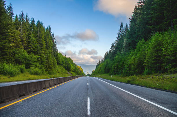 Homeward Bound I snapped this shot on the way back from Oregon, somewhere amidst massive Redwoods on Hwy 101 homeward stock pictures, royalty-free photos & images