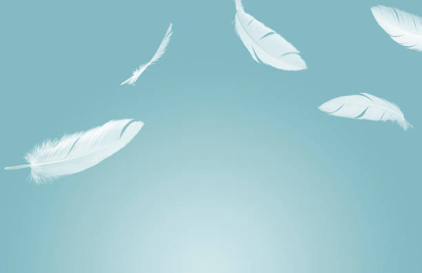 istock Abstract, white feathers floating in the air 1183011793