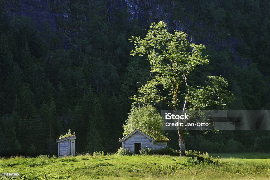 Kleine Hause in Norwegen - Lizenzfrei Baum Stock-Foto