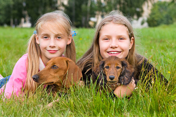 istock Children and dogs 118301995