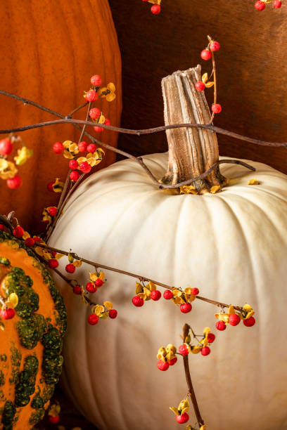 istock White Heritage Pumpkin with Bittersweet Vines 1183021365