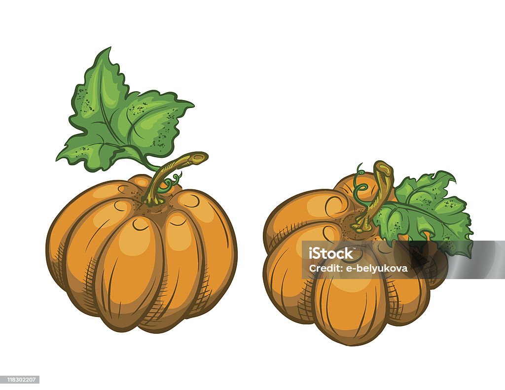 Two ripe pumpkins.  Autumn stock vector