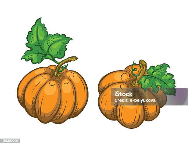 Two Ripe Pumpkins Stock Illustration - Download Image Now - Autumn, Brown, Clip Art