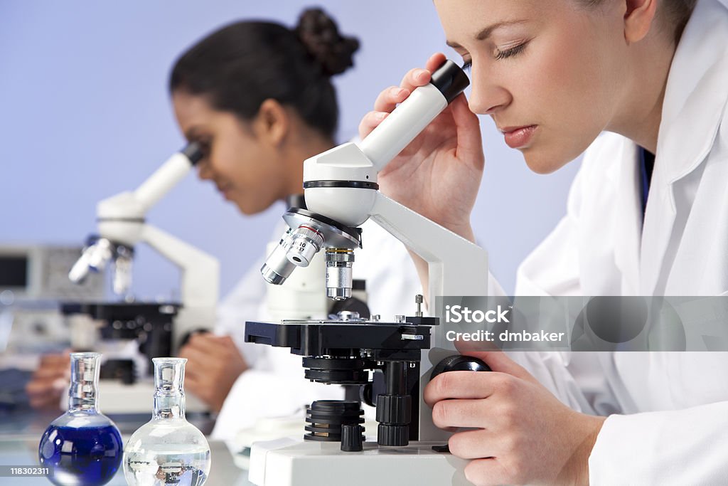 Zespół kobiet badania naukowe z użyciem Mikroskopy w laboratorium - Zbiór zdjęć royalty-free (Analizować)