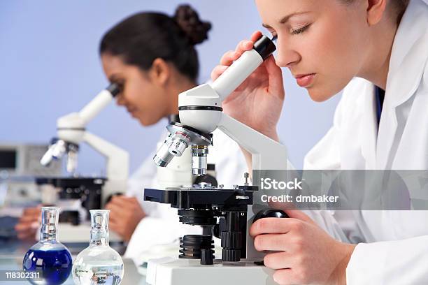 Foto de Equipe De Investigação Científica Feminino Usando Microscópios Em Um Laboratório e mais fotos de stock de Adulto