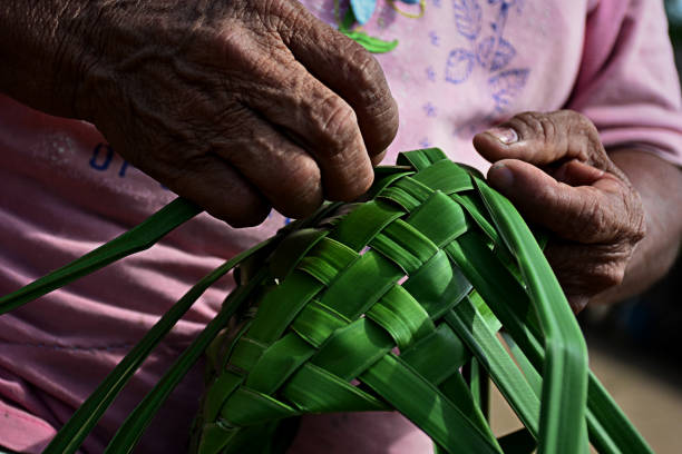 eine kolumbianische einheimische handwerkerin webt einen körbe aus palmblättern - tribal life stock-fotos und bilder