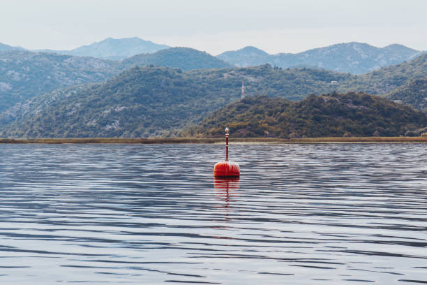 istock Red buoy floating on lake water surface and alone gull 1183024448