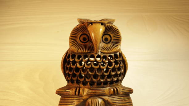istock Owl - a symbol of wisdom 1183029447