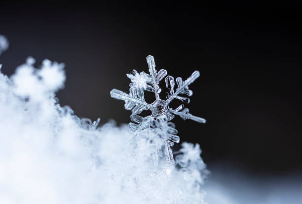 istock snowflake, little snowflake on the snow 1183031493