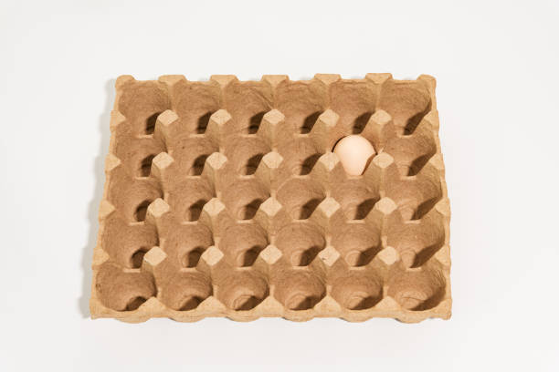 istock Organic eggs in the tray 1183033319