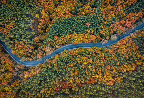 Colorful drone photo of a mountain road