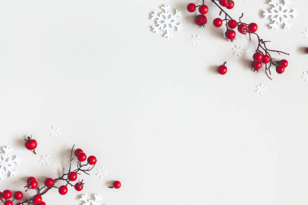 рождественская или зимняя композиция. снежинки и красные ягоды на сером фоне. рождество, зима, новый год концепции. плоская лежала, вид свер� - red berry стоковые фото и изображения