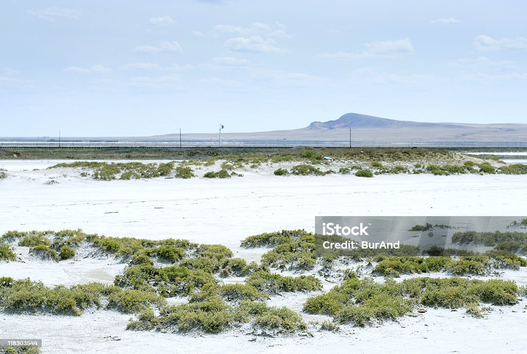 Lago Salgado - Foto de stock de Alimentação Saudável royalty-free