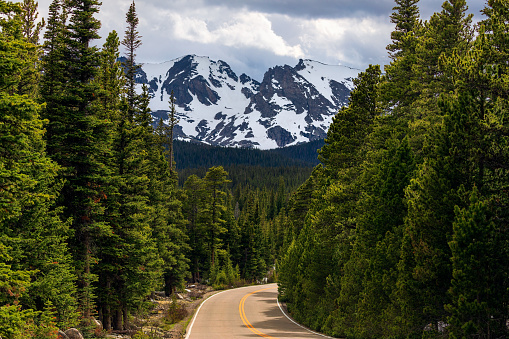 Winding mountain road through a pine forest in the Indian Peaks Wilderness near Ward, Colorado, USA.