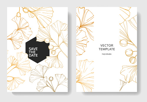 Vector. Golden ginkgo leaf. Wedding white background card floral decorative border. Thank you, rsvp, invitation elegant card illustration graphic set banner.