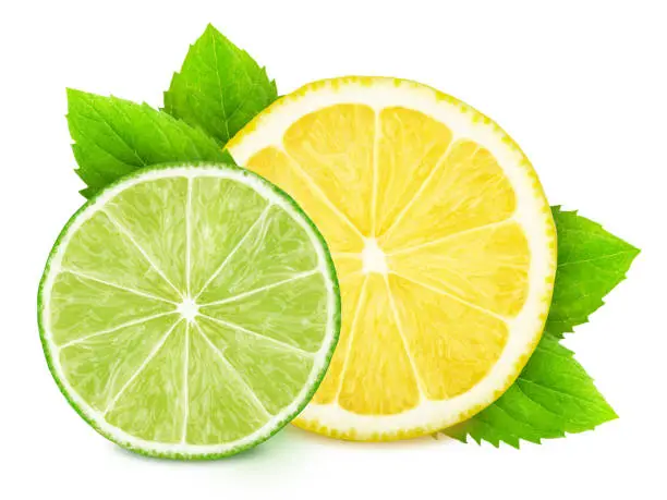 Fresh composition with slices of different citrus fruits and mint isolated on a white background in full depth of field with clipping path.