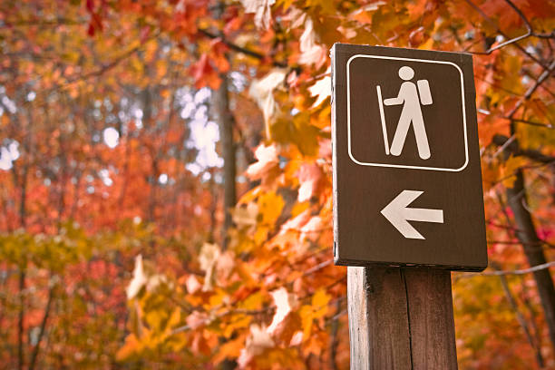 ir caminhada - directional sign wood sign footpath imagens e fotografias de stock