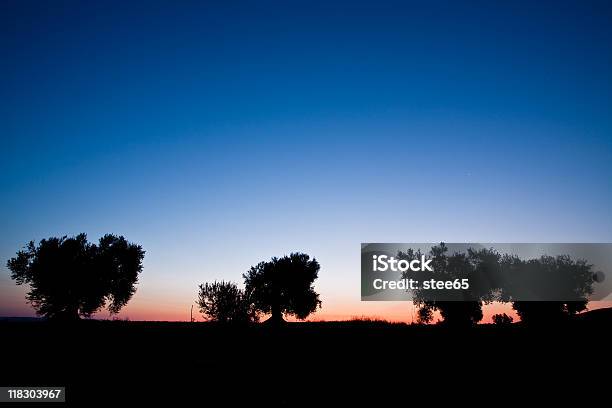 Olive Amanecer Foto de stock y más banco de imágenes de Aire libre - Aire libre, Basilicata, Campo - Tierra cultivada