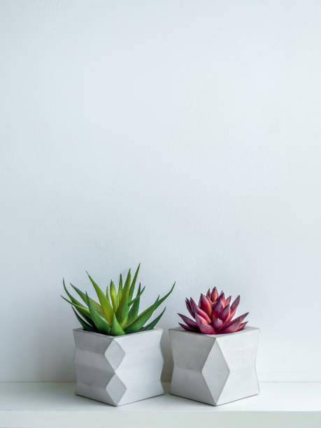 istock Concrete pot. Modern geometric concrete planter. 1183039858