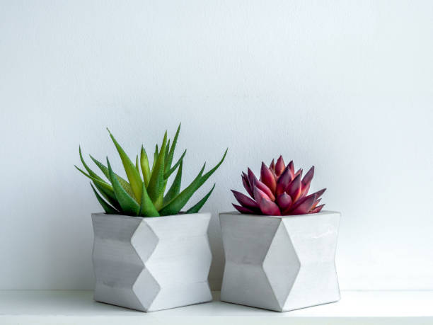 istock Concrete pot. Modern geometric concrete planter. 1183039874