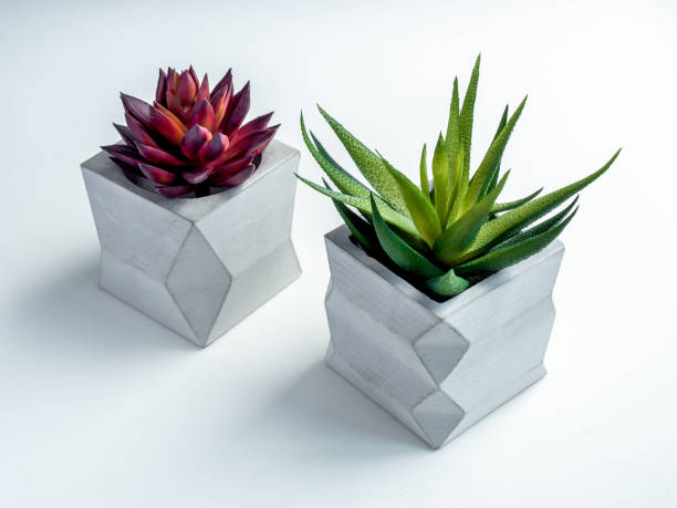 istock Concrete pot. Modern geometric concrete planter. 1183039898