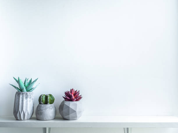 istock Concrete pot. Modern geometric concrete planter. 1183039911