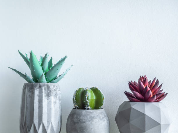 istock Concrete pot. Modern geometric concrete planter. 1183039924