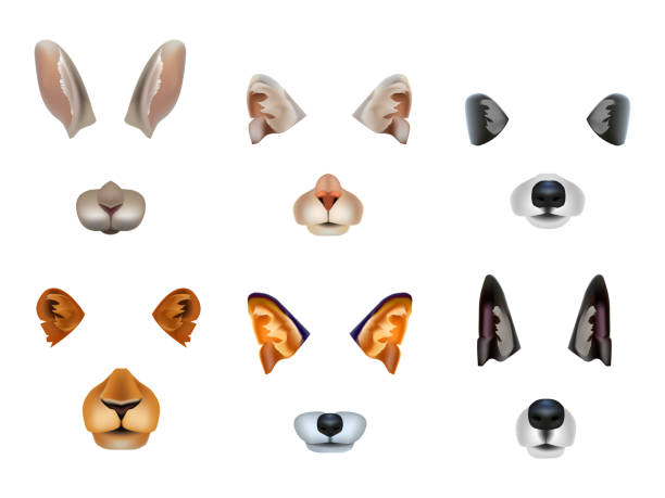 realistische 3d detaillierte verschiedene video chat effekte tier gesichter set. vektor - animal nose stock-grafiken, -clipart, -cartoons und -symbole